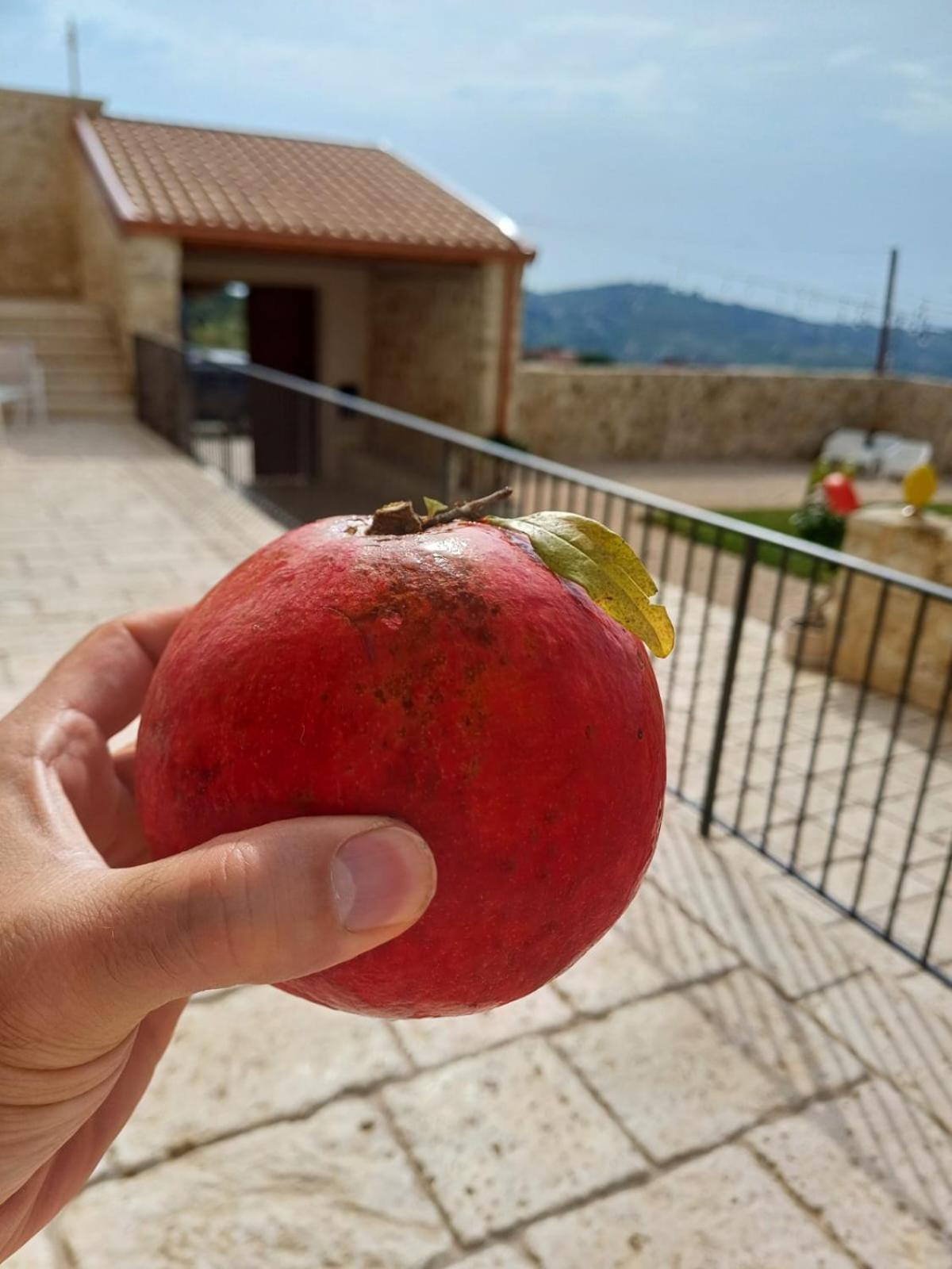 Masseria Torre Saracena